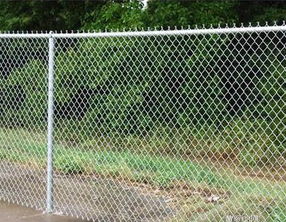 What are the fields used to decorate the chain link fence?