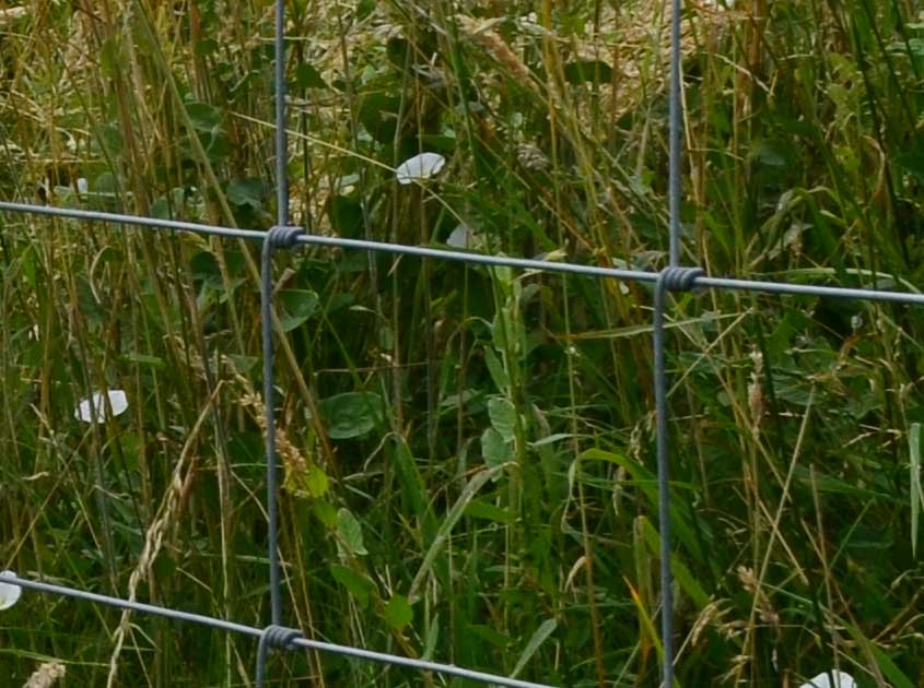 Cercas para Granjas: Límites Fuertes y Flexibles para Ganado y Campos
