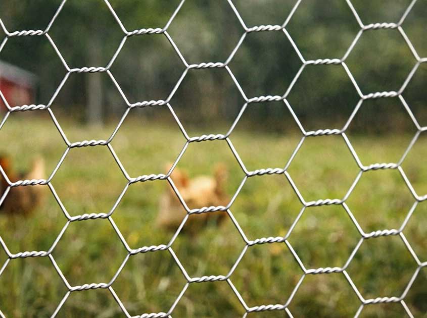 La mejor cerca para ganado (cerca para vacas) para ranchos sudamericanos. La mejor cerca para ganado (cerca para vacas) para ranchos sudamericanos.